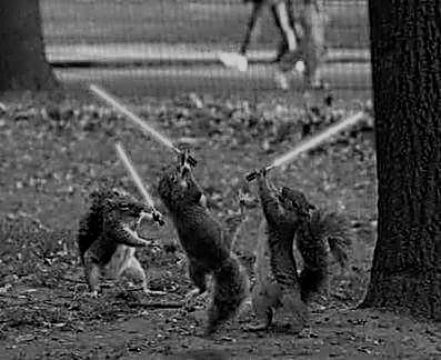 squirrels with light sabers